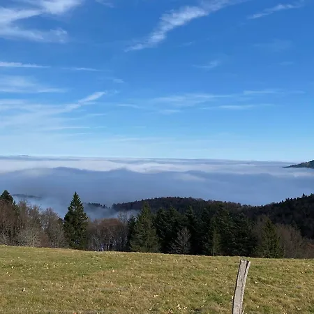 Ferme Point Du Jour Avec Sauna Et Jacuzzi Sainte-Marie-aux-Mines