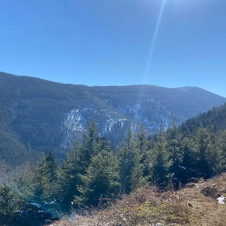 Apartman Ferme Point Du Jour Avec Sauna Et Jacuzzi Sainte-Marie-aux-Mines