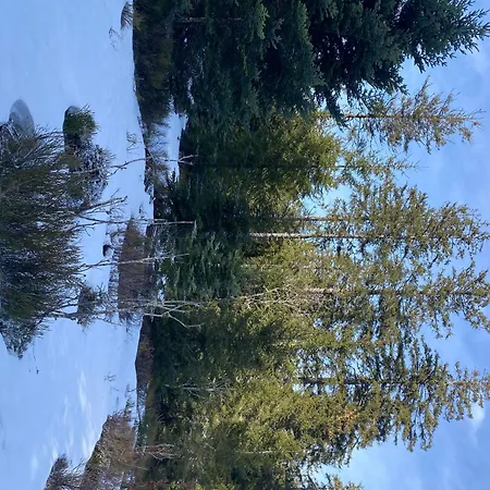Ferme Point Du Jour Avec Sauna Et Jacuzzi * Sainte-Marie-aux-Mines