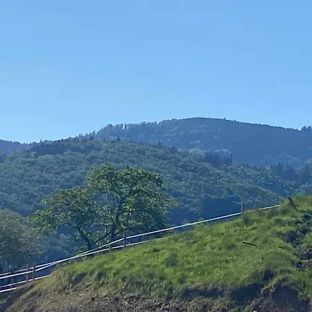 Ferme Point Du Jour Avec Sauna Et Jacuzzi Apartman Sainte-Marie-aux-Mines