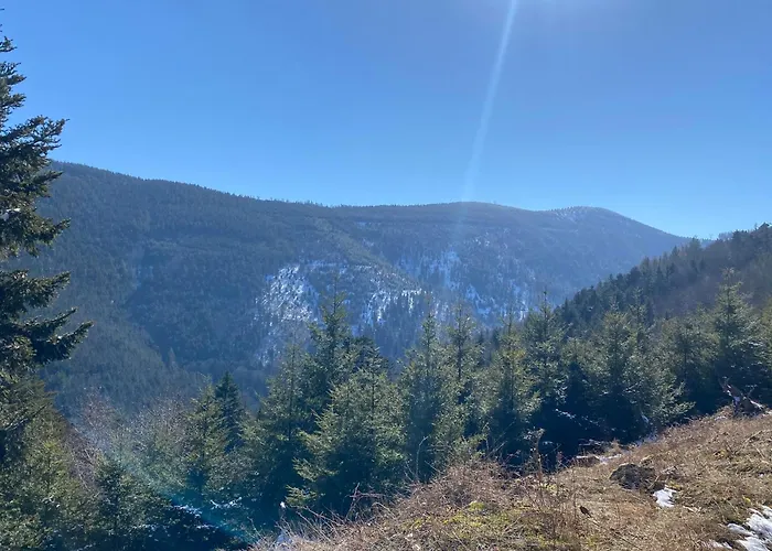 Appartamento Ferme Point Du Jour Avec Sauna Et Jacuzzi Sainte-Marie-aux-Mines